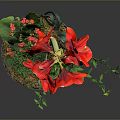 Red Amaryllis Potted Plant With Green Foliage And Black Decorative Pot