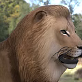 Majestic Lion Standing On Grassy Field With Lush Green Tree Background