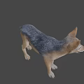 Realistic 3D Model of Standing Fox With Brown And Gray Fur On Gray Background