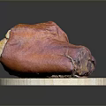 Fresh Animal Meat With Skin On Wooden Cutting Board Showing Red And Orange Color