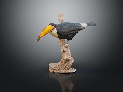 Toucan Bird Perched On Wooden Stump With Large Colorful Beak And Black Body 3d model