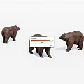 Three Brown Bear 3D Models With Different Standing Poses 3d model