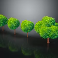 Green Leafy Trees In Row With Brown Trunks Against Dark Background And Ground Reflections 3d model