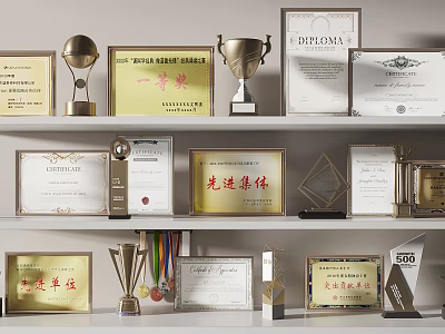 Gold Silver Trophies Medals and Certificates Display on Shelves with Honor Awards 3d model