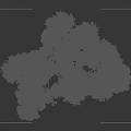 Tall Tree With Yellow Leaves Multiple Trunks Root System And Little Girl Silhouette Nearby