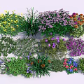 Various Colorful Flowers And Green Plants With Vibrant Blooms In Garden