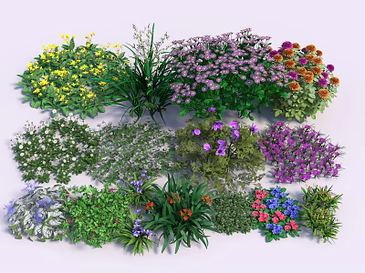 Various Colorful Flowers And Green Plants With Vibrant Blooms In Garden 3d model