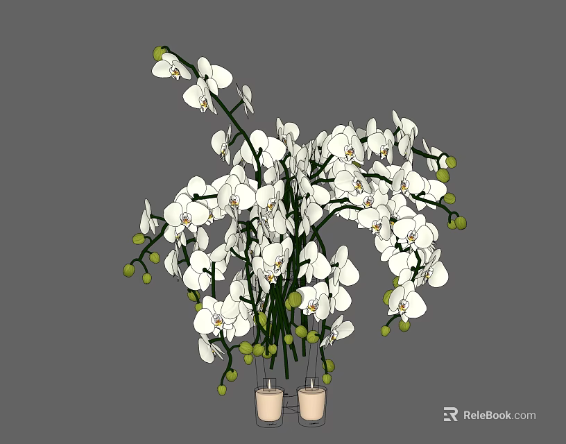 White Orchid Flowers In Light Colored Vases With Fresh Blooms And Green Buds 3d model 