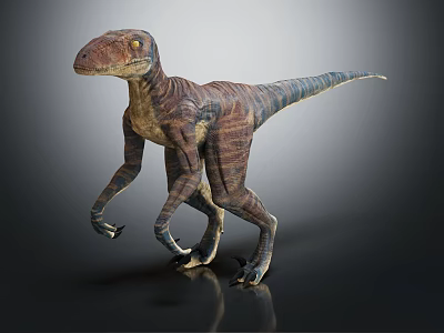 Realistic Velociraptor Dinosaur Character With Detailed Skin Texture And Walking Stance 3d model