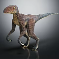 Realistic Velociraptor Dinosaur Character With Detailed Skin Texture And Walking Stance