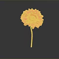Pink Gerbera Flower With Yellow Center And Stem On Gray Gradient Background