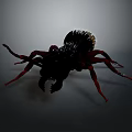 Detailed Black and Red Spider With Long Legs Hairy Body On Dark Background