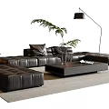 Black Leather Sofa and Coffee Table Set with Floor Lamp Green Plant on Gray Carpet