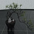 Decorative Bonsai Pine Plant With Curved Trunk Small Buddha Statues In Dark Ceramic Pot