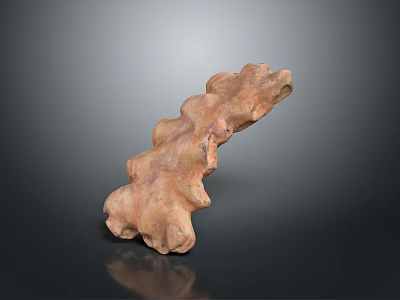 Wooden Stone Decorative Piece With Natural Texture Irregular Shape And Rough Surface 3d model