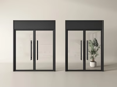 Modern Interior Glass Double Doors With Black Frame And Potted Plant 3d model