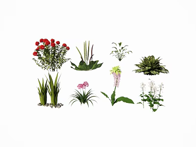 Colorful Assorted Flowers and Green Plants for Home and Garden Decoration 3d model