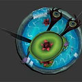Fairy Character With Green Wings Red Flower Hat And Purple Body On Lotus Water Base