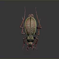 Shiny Green And Red Beetle With Long Red Legs On Dark Background