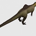 Dinosaur Tyrannosaurus rex Reptiles Ancient creatures carnivorous dinosaur Jurassic low face number low model simple model game film and television level super realistic 3d model