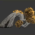 Unique Curved Tree With White Textured Trunk And Orange Yellow Leaves