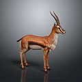 Realistic Gazelle With Long Horns And Brown White Coat Standing On Gray Surface
