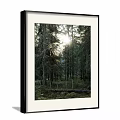 Forest Plant Painting With Sunlight Through Trees Mossy Ground And Fallen Trunk