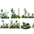 Lush Tropical Plant Combinations Featuring Ferns Green Palms And Natural Stones For Landscaping