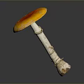 Fresh Orange Mushroom With White Spots On Round Cap Over Dark Reflective Surface