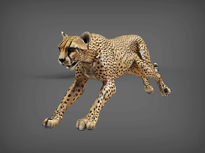 Spotted Reptile In Dynamic Running Stance On Gray Surface Background 3d model Spotted Reptile In Dynamic Running Stance On Gray Surface Background 3d model