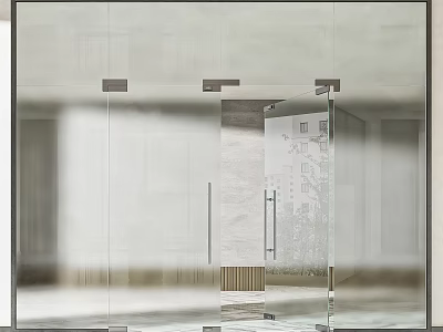 Modern Frameless Glass Double Doors Interior With Transparent Panels And Metal Handles 3d model