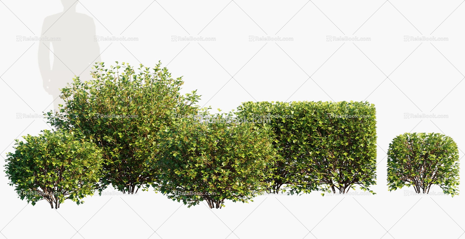 Plant Shrub Shrub Ball 3d model