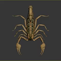Yellow And Green Scorpion With Long Tail Large Pincers Shiny Exoskeleton On Gray Background