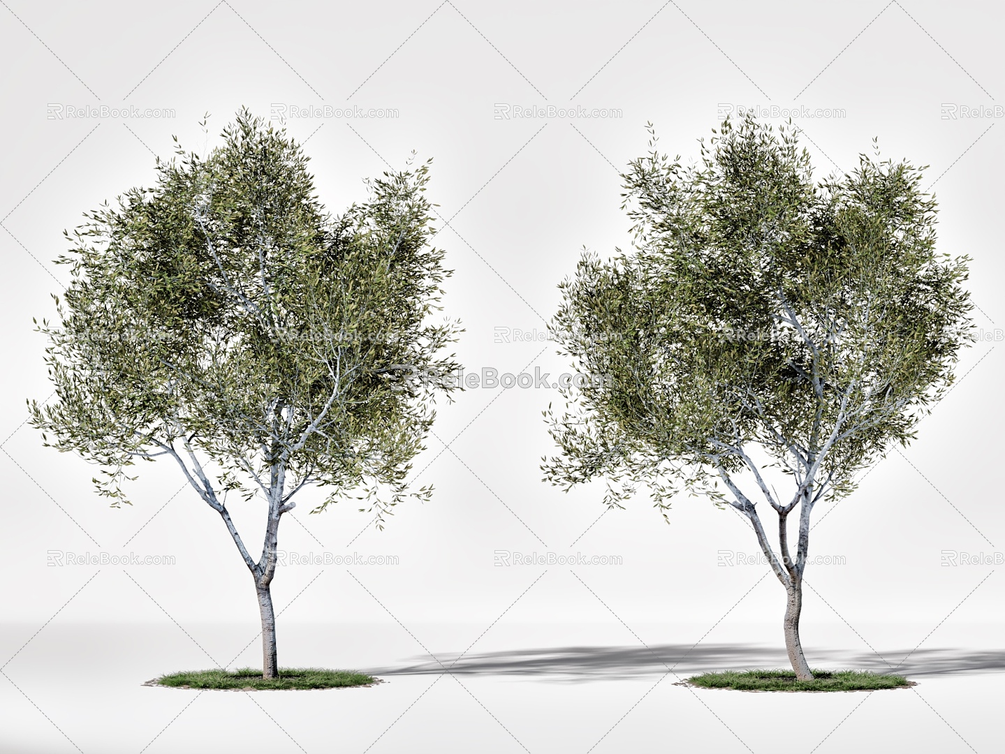 Modern Landscape Trees Big Trees Street Trees 3d model