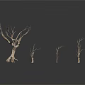 Dry Trees of Various Sizes Standing on White Background with Bare Branches