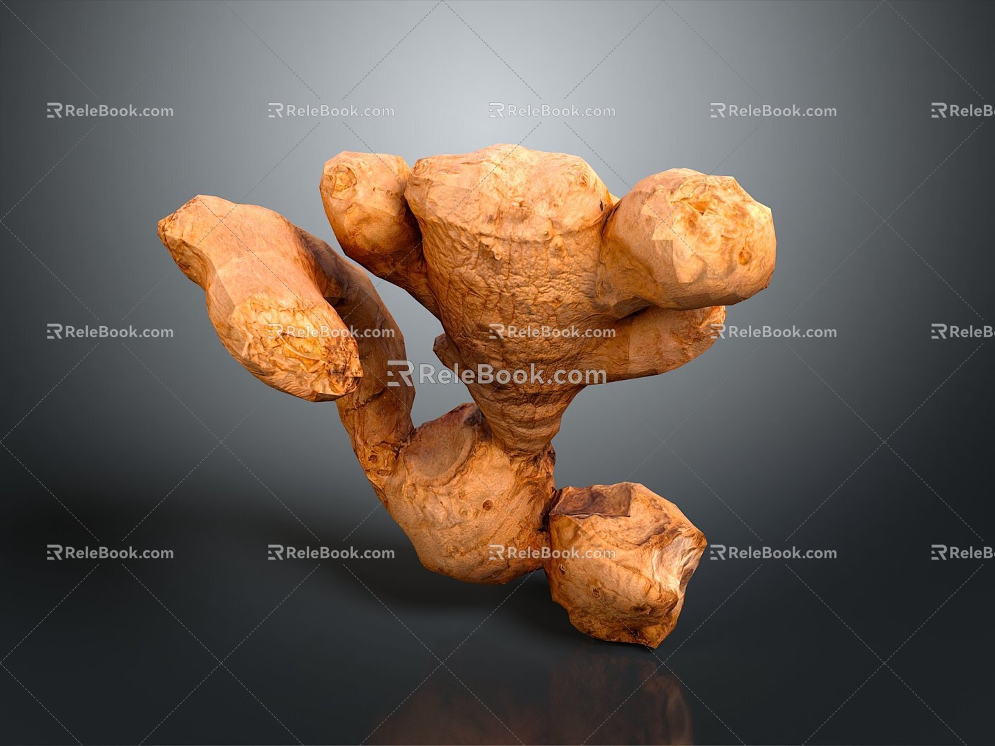 Ginger Ginger Seasoning Ingredients Vegetable Plant 3d model