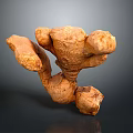 Fresh Natural Ginger Fruit with Raw Root Texture and Healthy Organic Properties