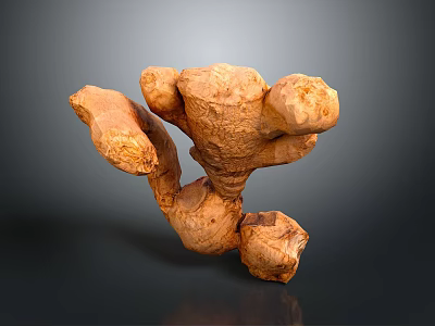 Fresh Natural Ginger Fruit with Raw Root Texture and Healthy Organic Properties 3d model