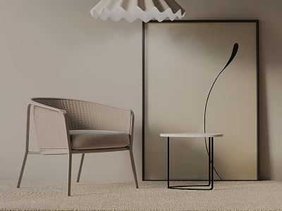 Modern Woven Leisure Chair With Light Cushion Side Table Floor Lamp Wall Art And Carpet 3d model