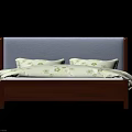 Double Bed Featuring Wooden Frame Light Blue Headboard White Quilt With Green Patterns 3d model