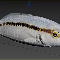 Vibrant Tropical Fish With White Body Black Stripe And Yellow Eyes In Blue Aquatic Environment