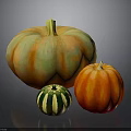 Large Orange Green Striped Small Green White Medium Orange Red Pumpkins On Dark Reflective Surface