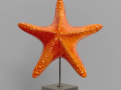 Orange Starfish Home Decor Ornament With Metal Stand And Square Base 3d model