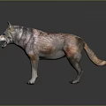 3D Wolf Character Model With Realistic Fur Standing In Dark Background 3d model