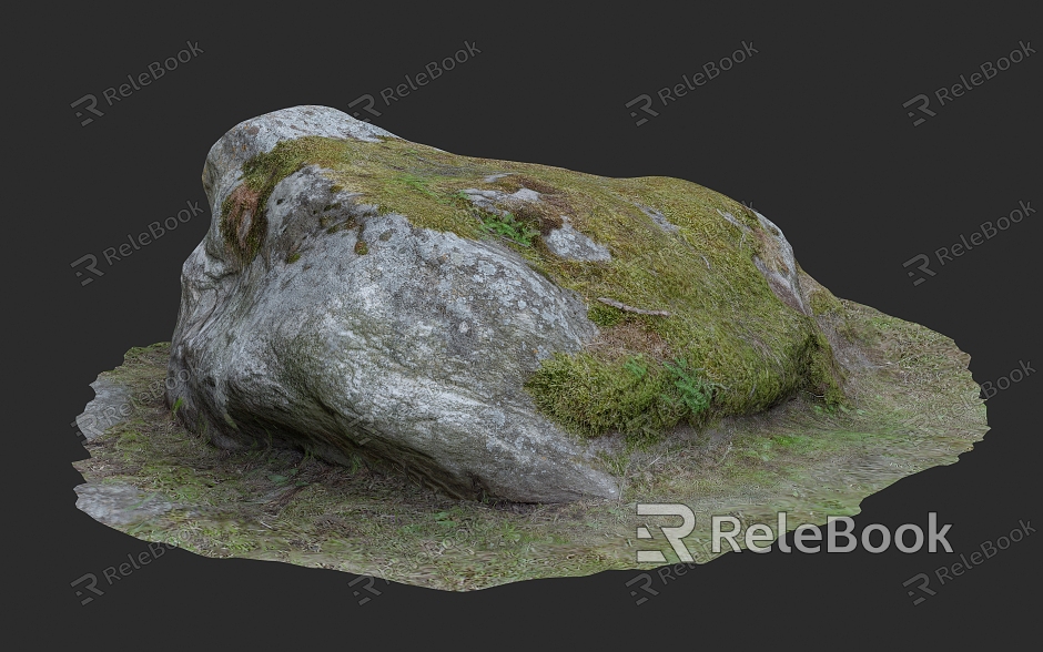 Landscape Stone Stone Food Stone Moss 3D Scanning Reconstruction model