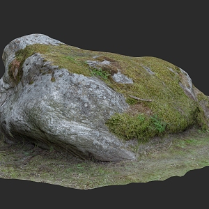 Landscape Stone Food Stone Moss 3D Scanning Reconstruction 3d model