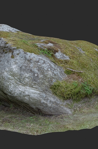 Landscape Stone Food Stone Moss 3D Scanning Reconstruction 3d model