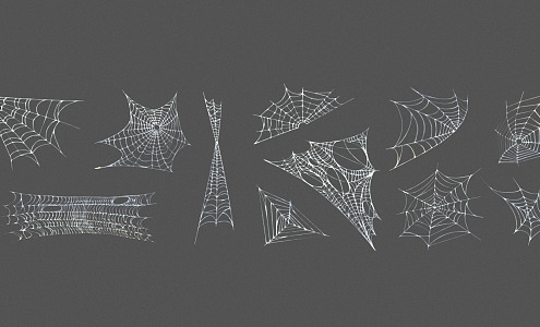 Modern Spider Web 3d model