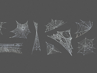 Modern Spider Web 3d model