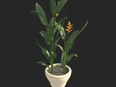 Bonsai Potted Plant With Green Leaves And Yellow Flowers In White Ceramic Pot For Indoor 3d model